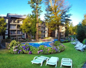 Condominio Parque Payllahue, Pucón Camino al Volcán 960